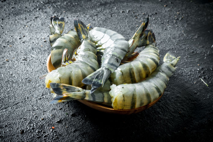 Bio Black Tiger Shrimp